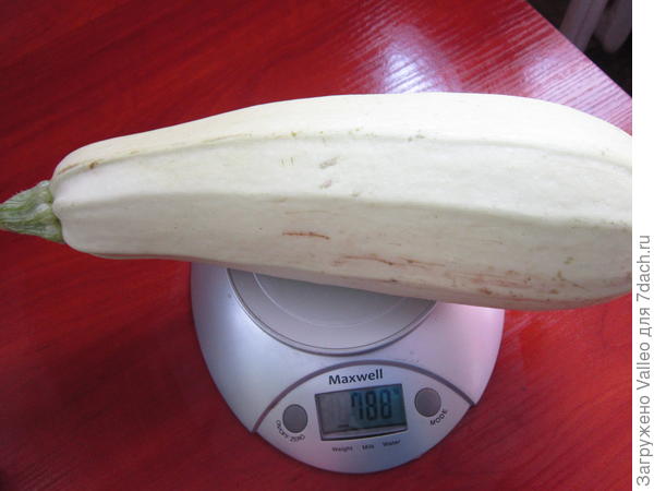 Мальчуган №3