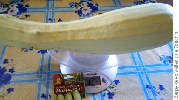 Мальчуган №10