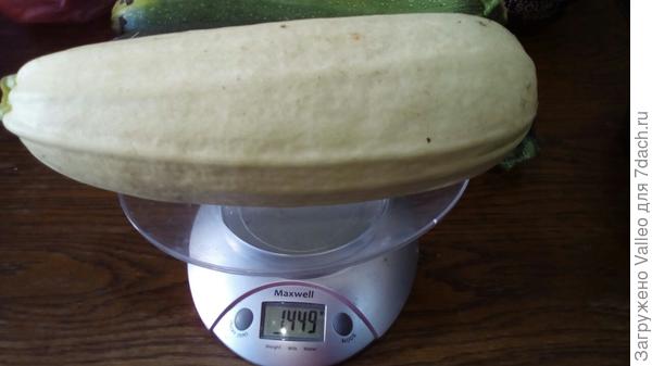 Мальчуган №16