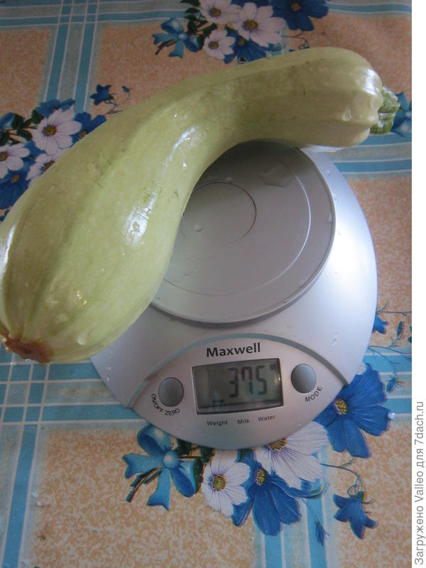 Мальчуган №1