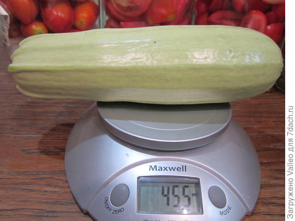 Мальчуган №9