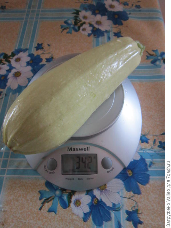 Мальчуган №2