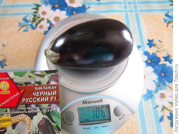 Второй плод