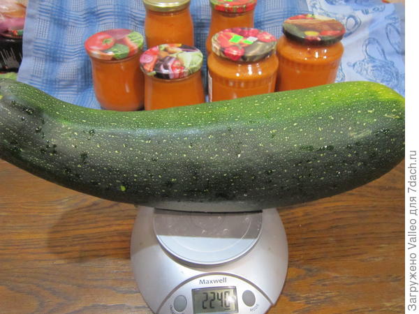 29 августа №1