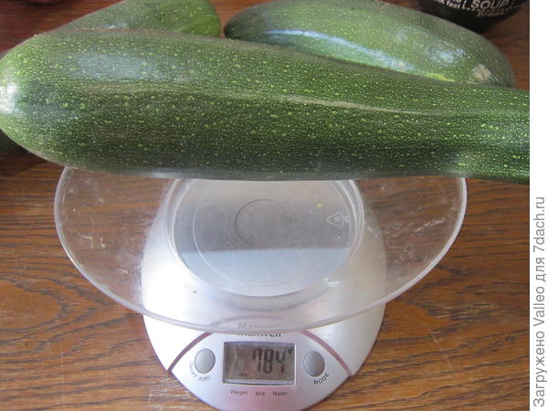 19 августа №9