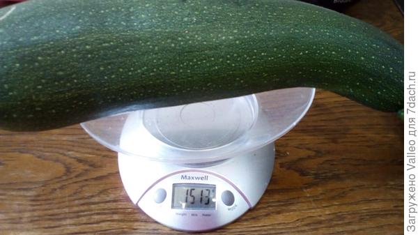 23 августа №2