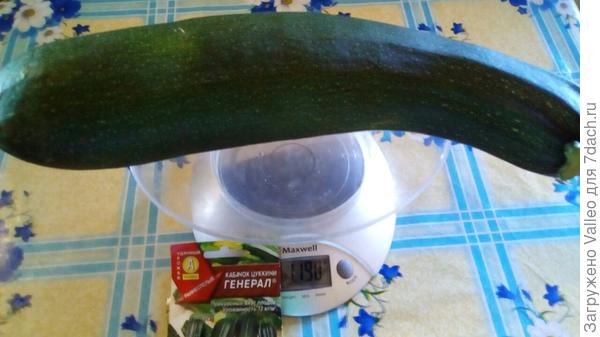 10 августа №4