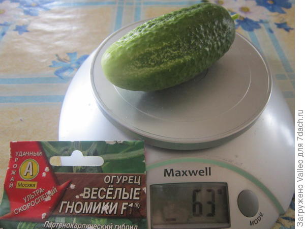 второй