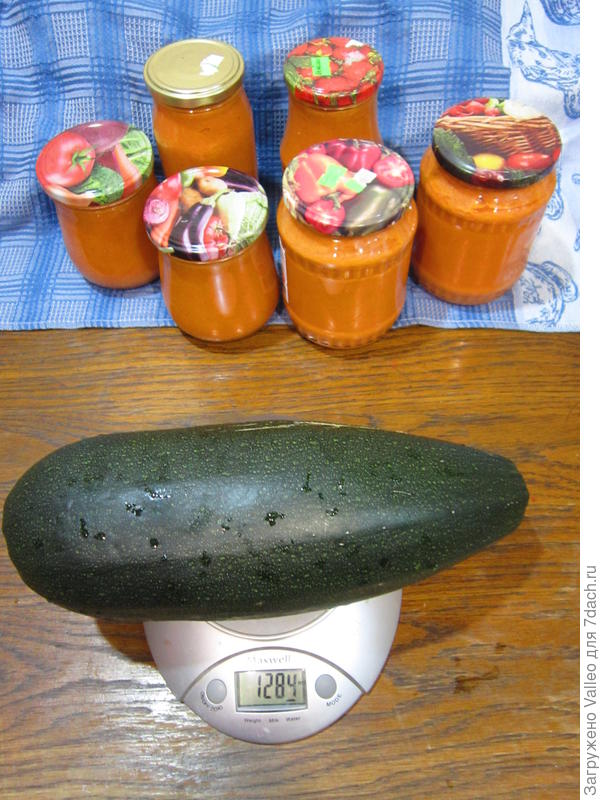 29 августа №3