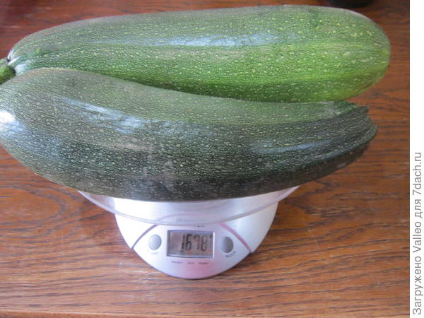 19 августа №7,8