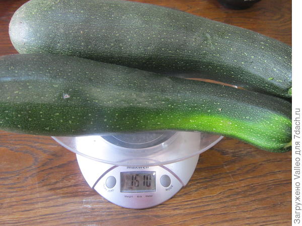 19 августа №5,6