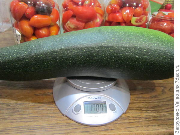 5 августа №1