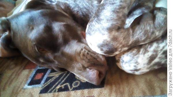 Ну не милашка ли?