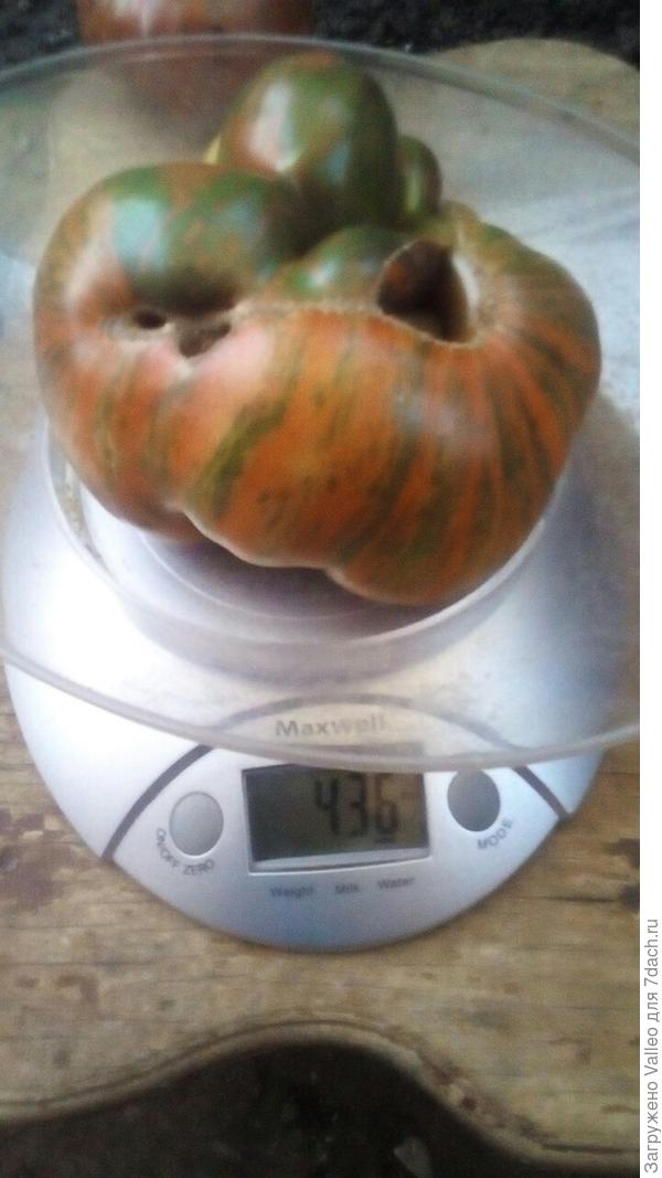 самый крупный