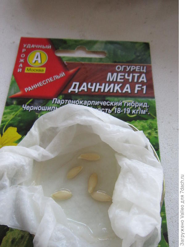 замочила