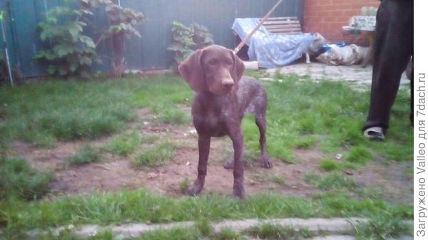 Наш мальчик