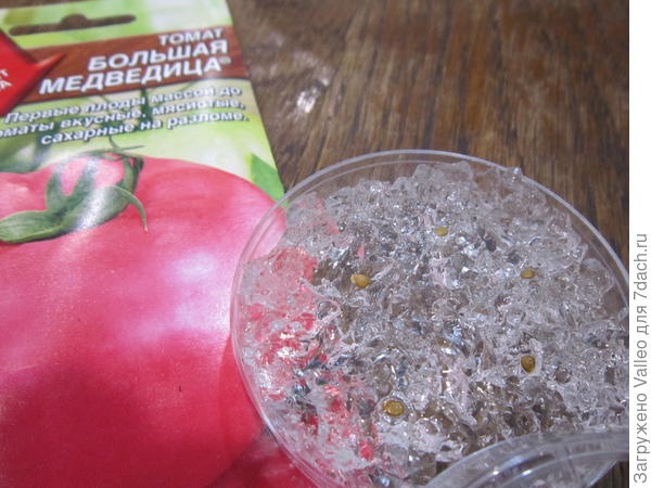 проращиваю