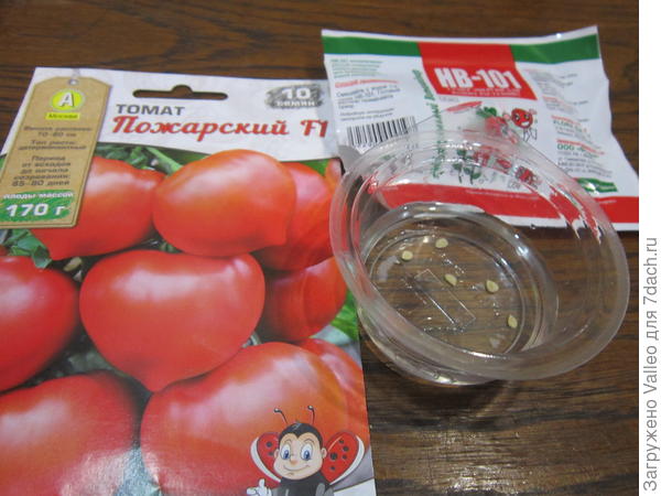 замочила