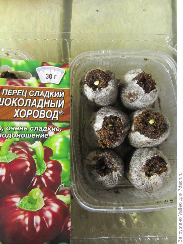 Посеянные с кокосовые таблетки
