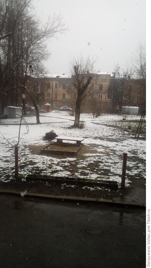 Вот такой апрель...