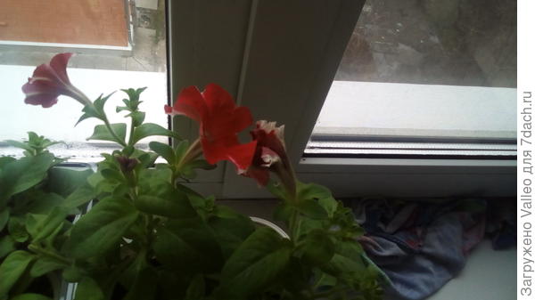 Фото вчерашнее