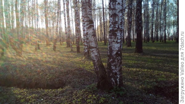 В парке уже лето!