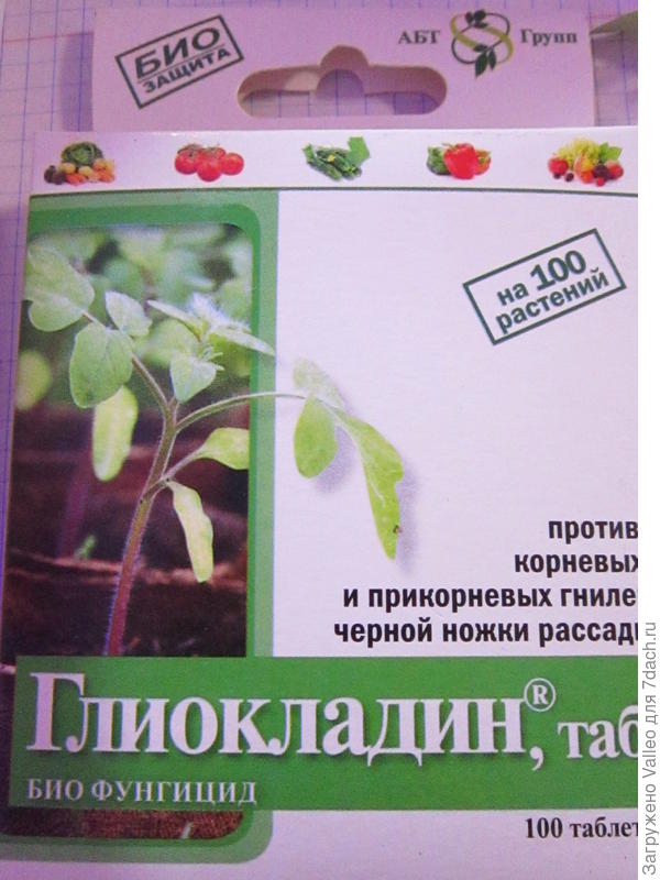 глиокладин