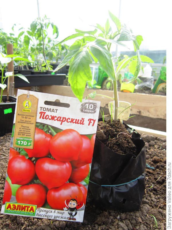 Пожарский