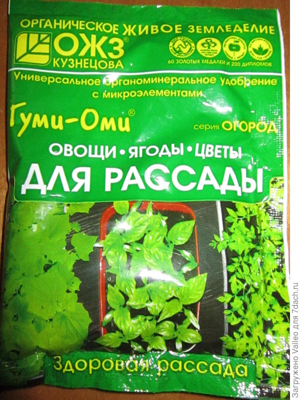 Гуми-Оми