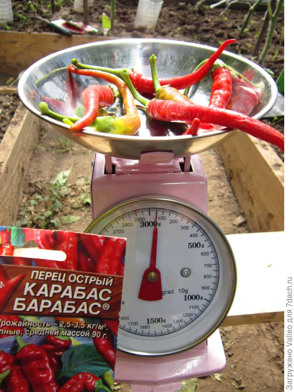 вес2