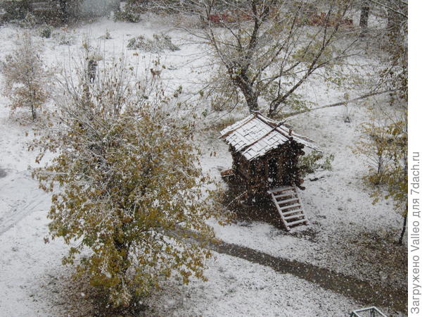 наша избушка на курьих ножках