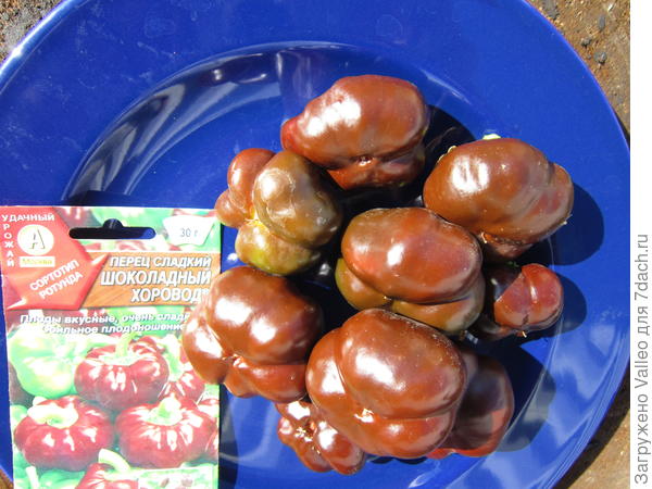 на тарелочке