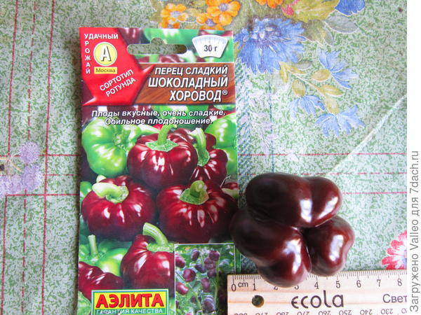 посмотрим в лицо)