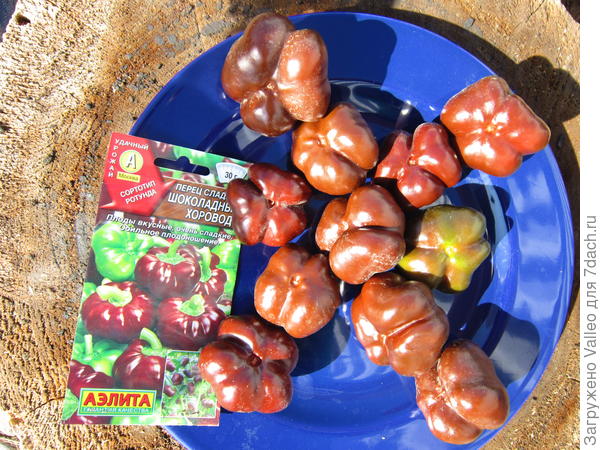 красавчики