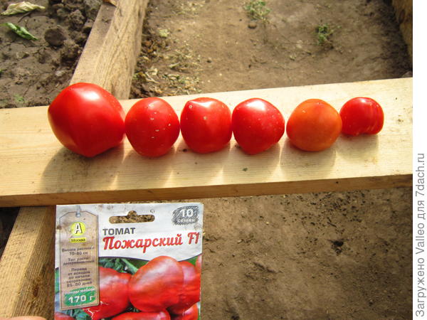 По порядке становись!