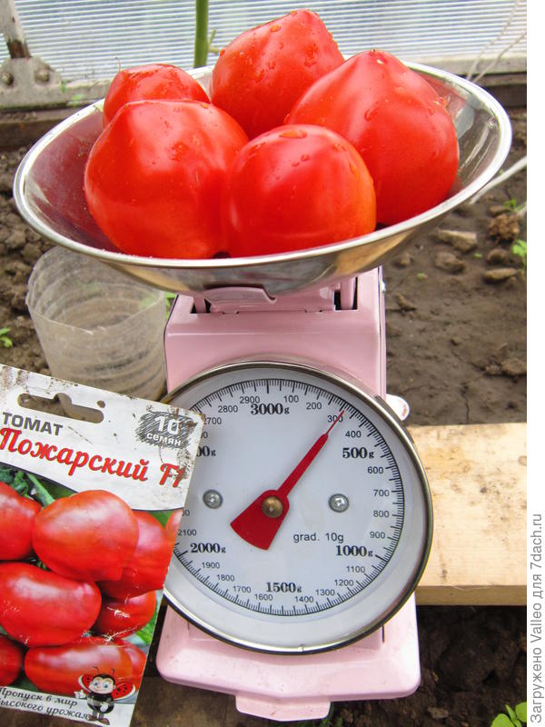 следующая созревшая партия