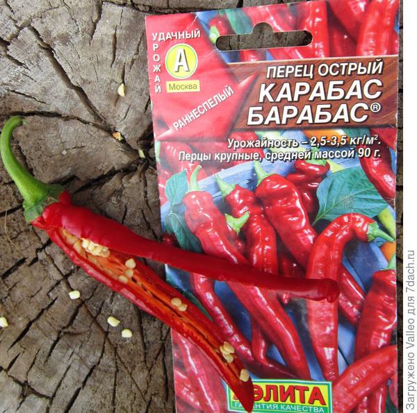 вот такой крокодильчик