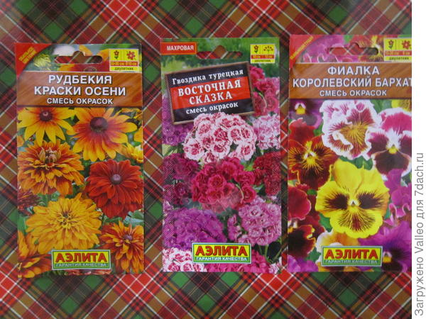 Двухлетки