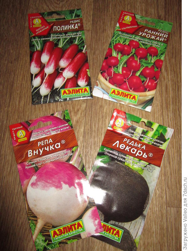 овощи на "ре": РЕдиска, РЕпа, РЕдька
