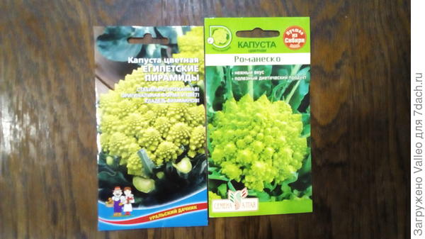 Как и обещала