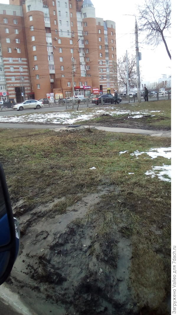 Тульский январь