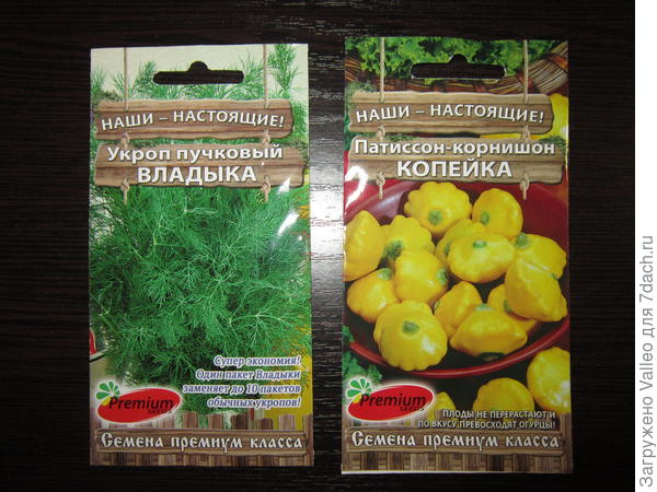 укроп и патиссоны