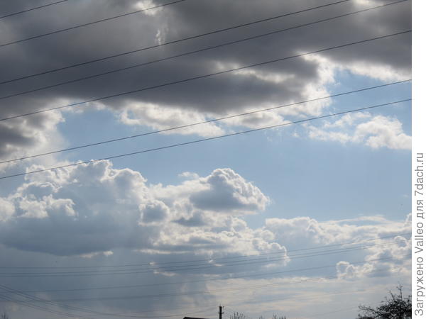 все оттенки белого