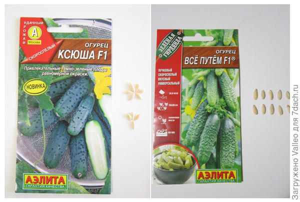 количество семян