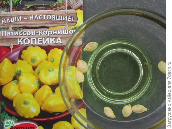 замочила семена