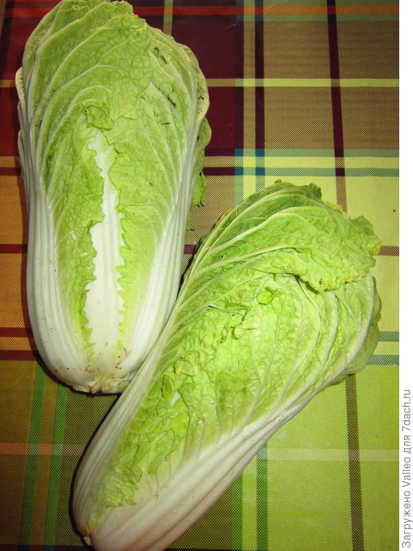 Сегодня на ужин салатик)