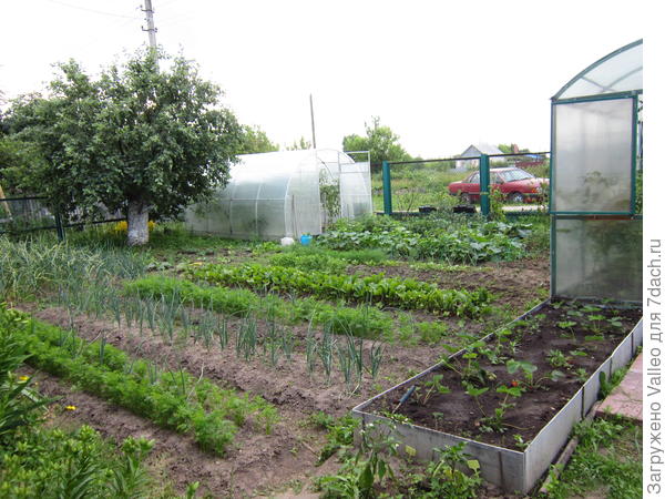 Мои скромные угодия)