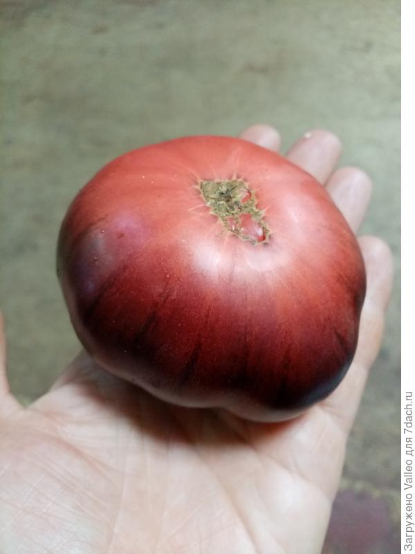 Он же с другой стороны