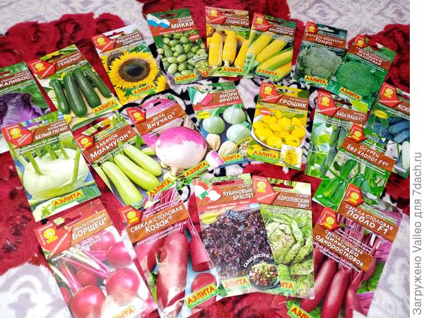 Первая пара