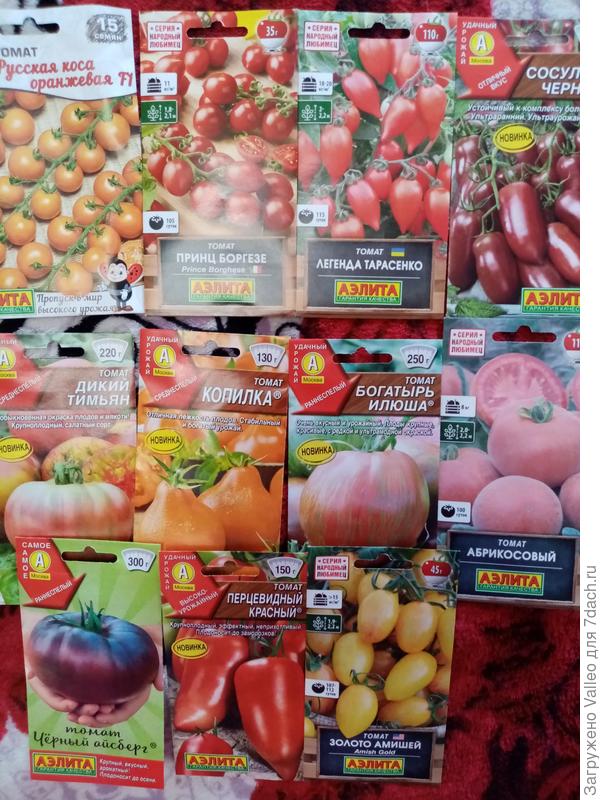 Вторая пара)